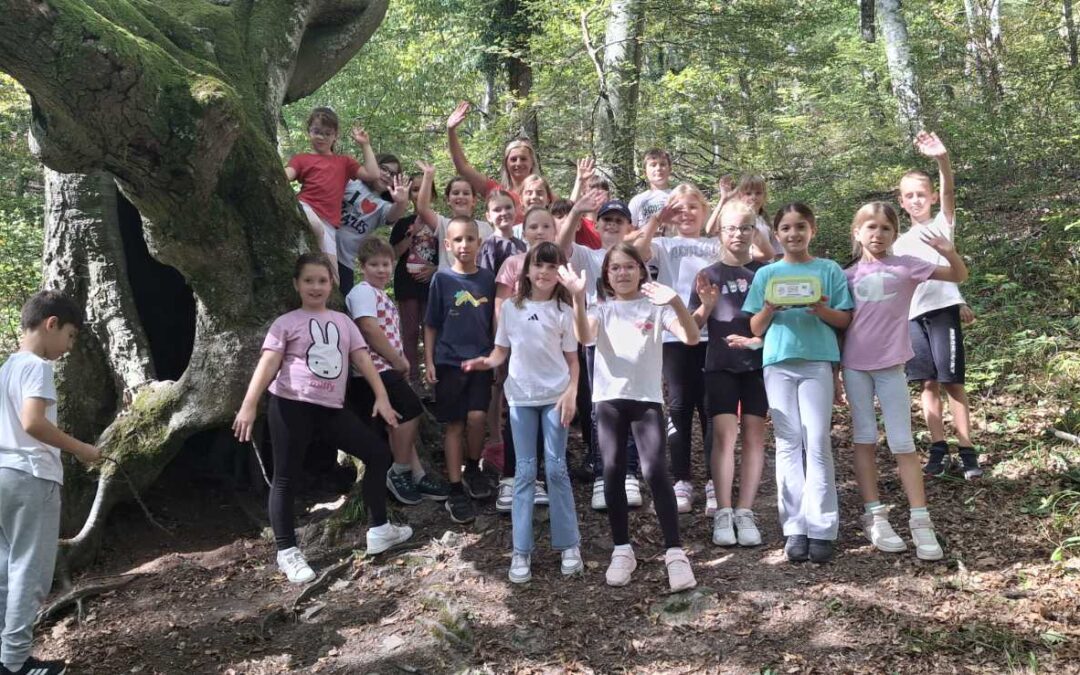 Terenska nastava 3.b i 3.c