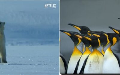 Kako možemo ponavljati gradivo prirode na zanimljiv način?