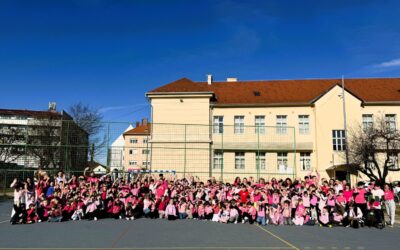 DAN RUŽIČASTIH MAJICA