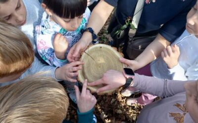 Terenska nastava 3.a