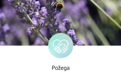 Inicijativa dm-a Žar za budućnost – ODOBREN PROJEKT SENZORNI VRT BEZ GRANICA